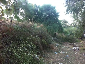 Rehabilitación Parque natural Ortosa - Puerto de la Torre - Málaga